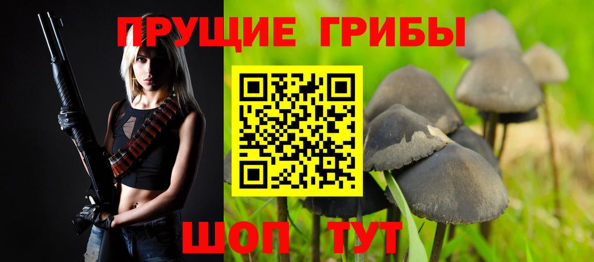 Торжок  Псилоцибиновые грибы Magic Shrooms  Вход с VPN  где купить наркотик  Псилоцибиновые грибы GOLDEN TEACHER 